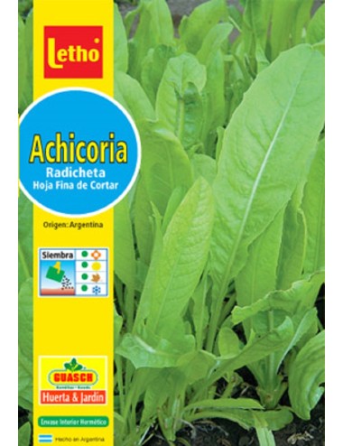 LETHO ACHICORIA RADICHETA X 10 GRAMOS