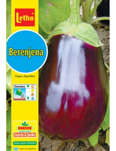 LETHO BERENJENA BLACK BEAUTY X 1 GRAMOS