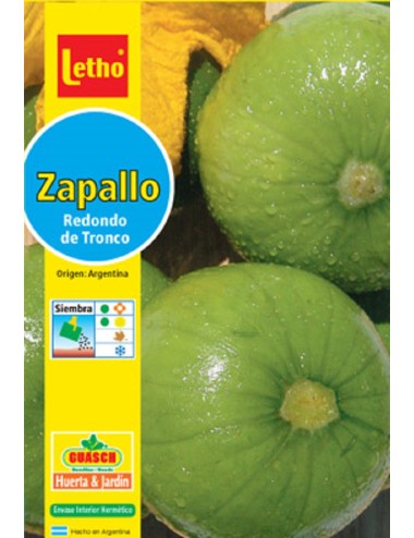 LETHO ZAPALLITO REDONDO DE TRONCO PILAR X 8 GRAMOS