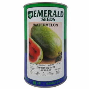 SANDIA CHARLESTON GRAY...