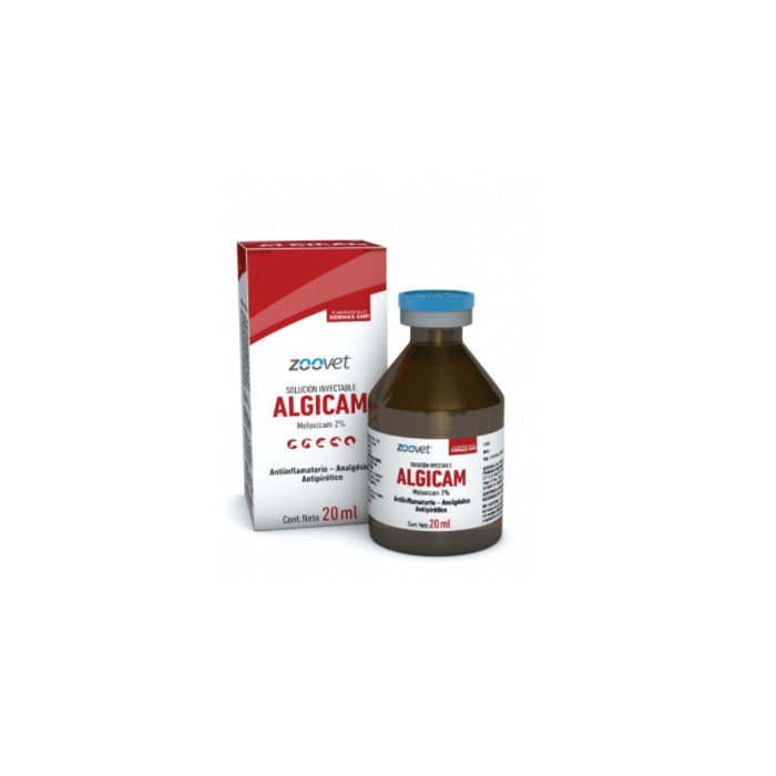 ALGICAM X 20 ML