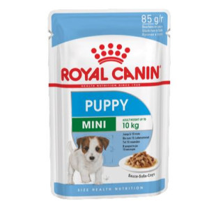 RCF SHN POUCH MINI PUPPY X...