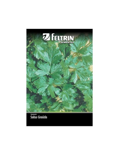 FELTRIN SEMILLA DE PEREJIL SOBRE X 10 GRAMOS REF. 116