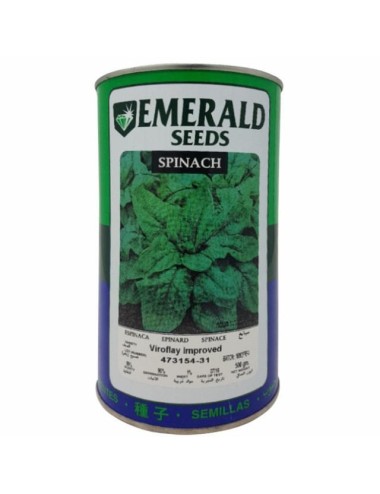 ESPINACA VIROFLAY IMPROVED -EMERALD- LATA X 500 GRAMOS