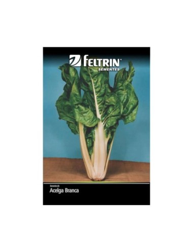 FELTRIN SEMILLA DE ACELGA BLANCA SOBRE X 5 GRAMOS REF. 010
