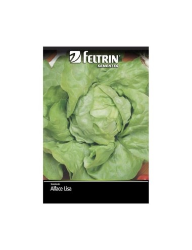 FELTRIN SEMILLA DE LECHUGA REPOLLADA SOBRE X 5 GRAMOS REF. 132