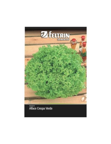 FELTRIN SEMILLA DE LECHUGA VENERANDA SOBRE X 2,5 GRAMOS REF. 830