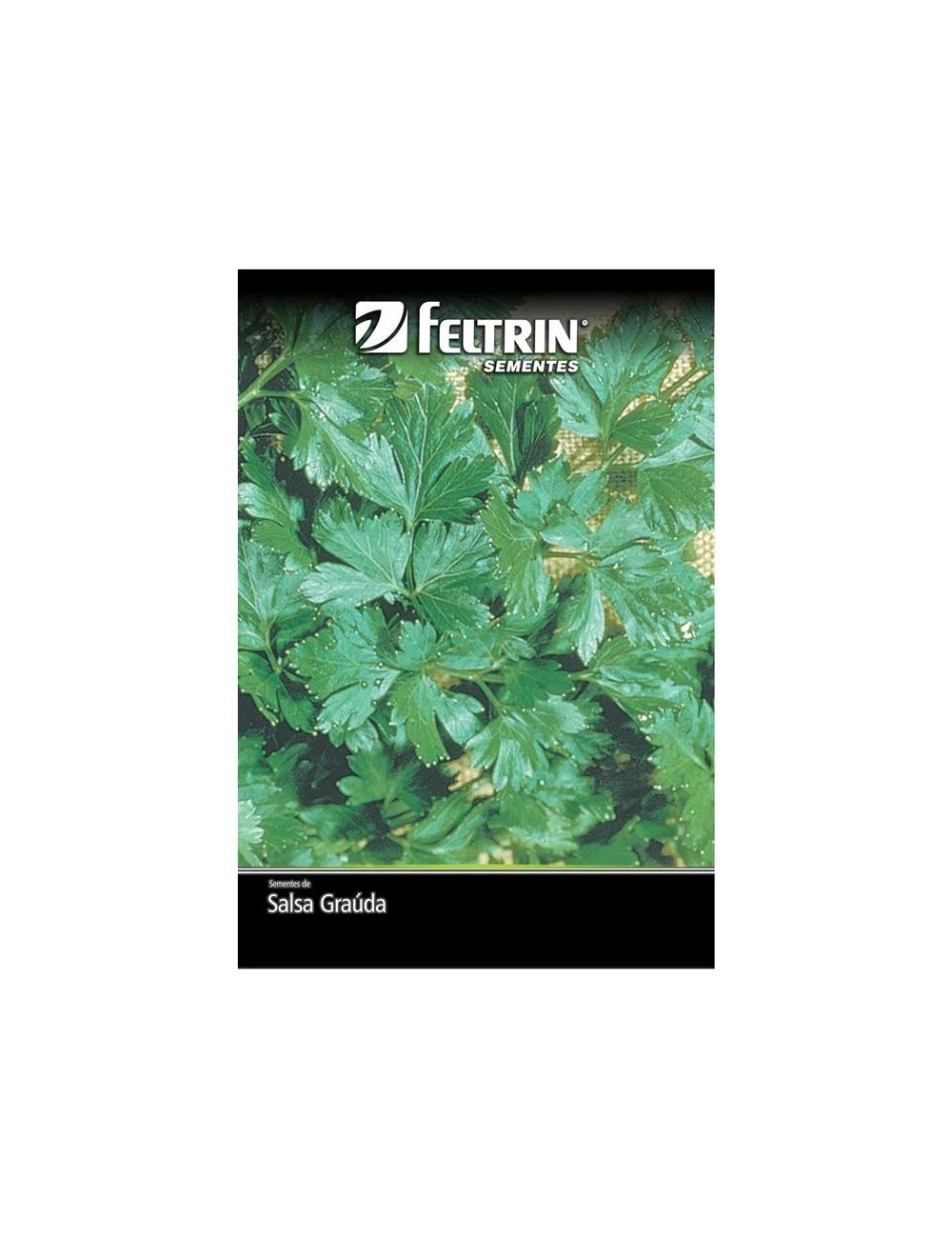FELTRIN SEMILLA DE PEREJIL SOBRE X 10 GRAMOS REF. 116