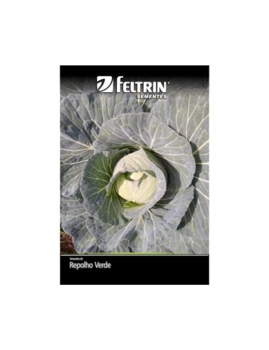 FELTRIN SEMILLA DE REPOLLO CORAZON DE BUEY SOBRE X 7 GRAMOS REF. 111