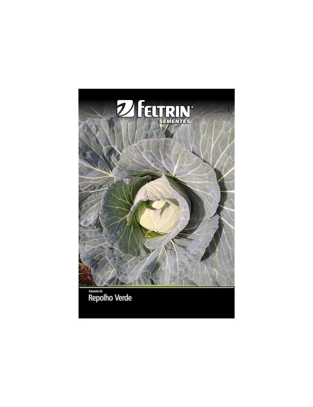 FELTRIN SEMILLA DE REPOLLO CORAZON DE BUEY SOBRE X 7 GRAMOS REF. 111