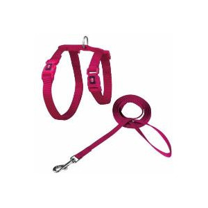 ARNES + TIRADOR DE NYLON P...