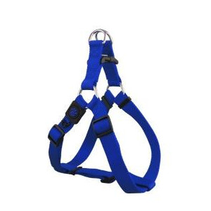 ARNES DOCO SIGNATURE -AZUL...