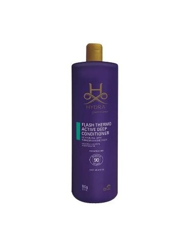 HYDRA FLASH THERMO ACTIVE DEEP CONDITIONER - X 900ML