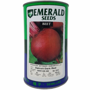 REMOLACHA DETROIT -EMERALD-...