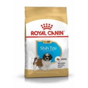 RCF BHN SHIH TZU PUPPY X...
