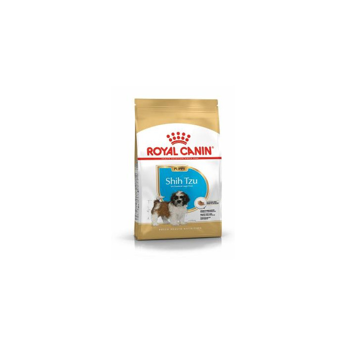 RCF BHN SHIH TZU PUPPY X 1,5 KILOS