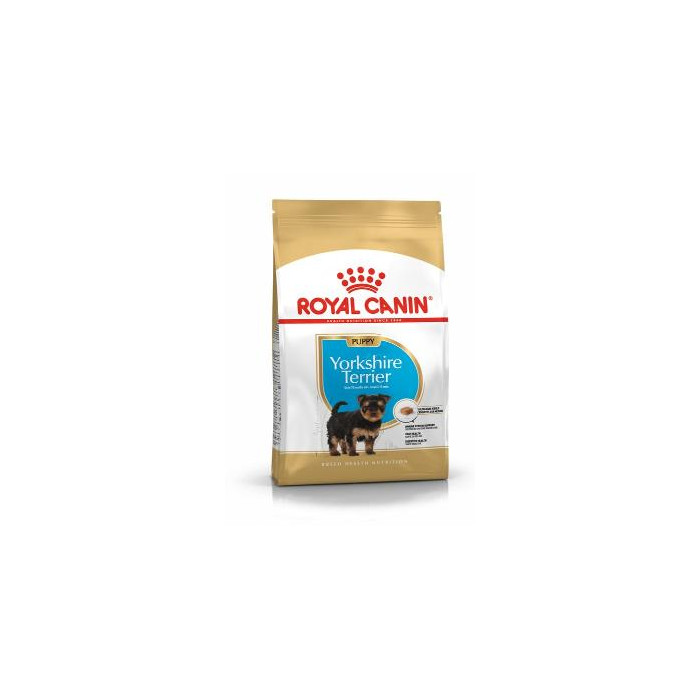 RCF BHN YORKSHIRE PUPPY X 1,5 KILOS