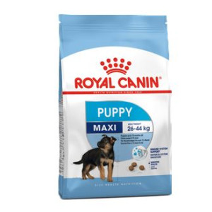 RCF SHN MAXI PUPPY BZ X 15...