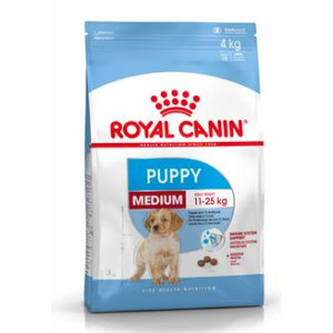 RCF SHN MEDIUM PUPPY  X 15...