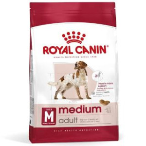RCF SHN MEDIUM ADULT X 15...
