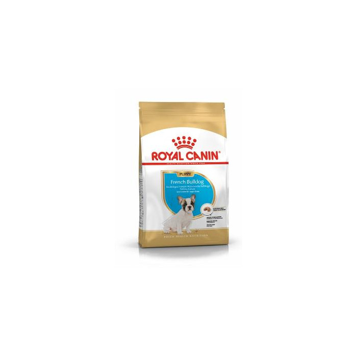 RCF BHN FRENCH BULLDOG PUPPY X 1 KILO
