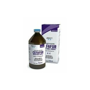 CEFAFUR INY. X 250 C.C.