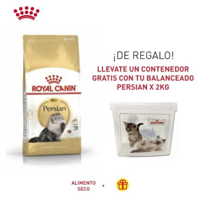 PROMO RC FBN PERSIAN 30 X...
