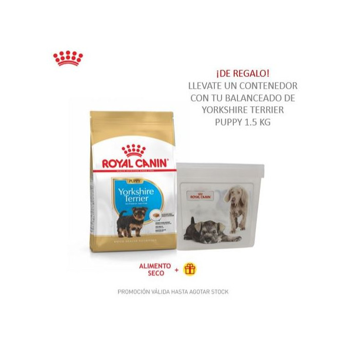 PROMO RCF BHN YORKSHIRE PUPPY X 1,5 KG + BARRIL CACHORROS Y GATITOS