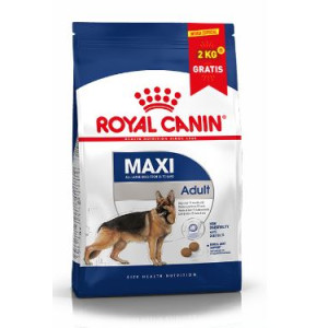 PROMO RCF MAXI ADULT X 13...