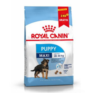 PROMO RCF MAXI PUPPY X 13...