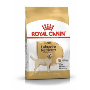 RC SBN LABRADOR RETRIEVER...