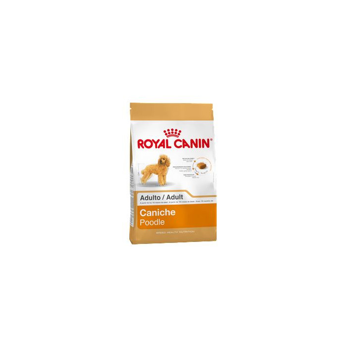 RC SBN MINI POODLE ADULT 30 X 3 KILOS (CANICHE)