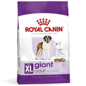 RC SHN GIANT ADULT X 15 KILOS*
