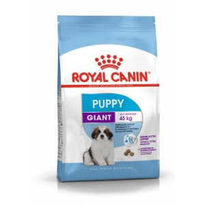 RC SHN GIANT PUPPY X 15...