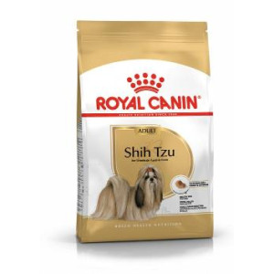 RCF BHN SHIH TZU ADULT X...