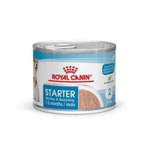 RCF LATA STARTER MOUSSE X...