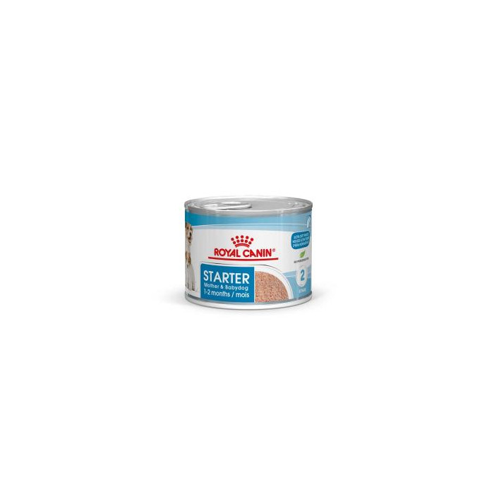 RCF LATA STARTER MOUSSE X 195 GRS