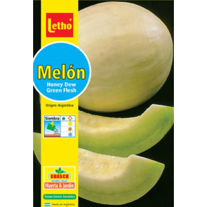 LETHO MELÓN HONEY DEW GREEN...