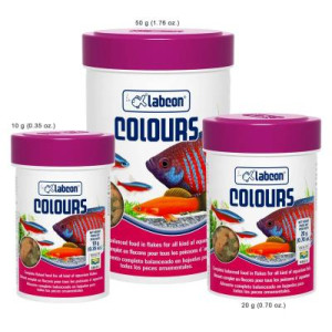 LABCON COLOURS X 10 GRAMOS