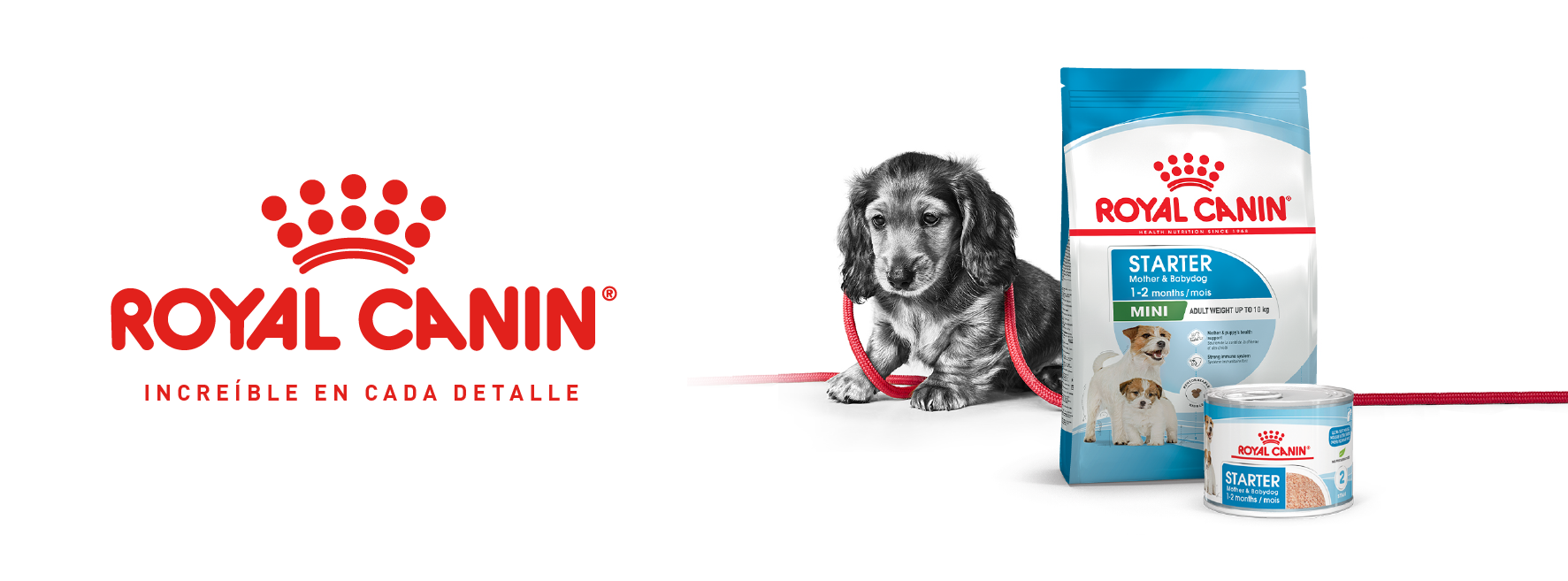 revolution slider image 98